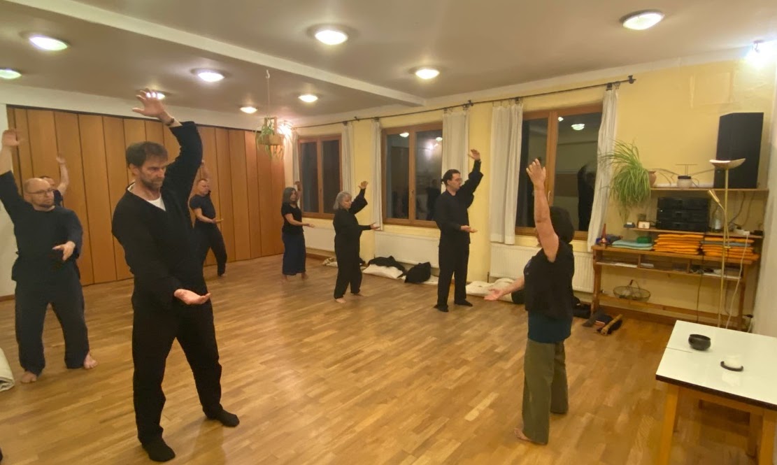 Ninshino Tai-Ki instructor